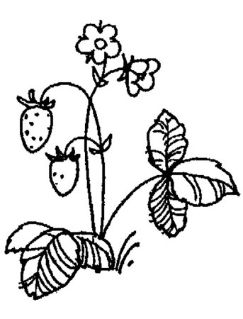Клубника раскраска