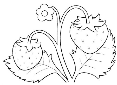 Клубника раскраска