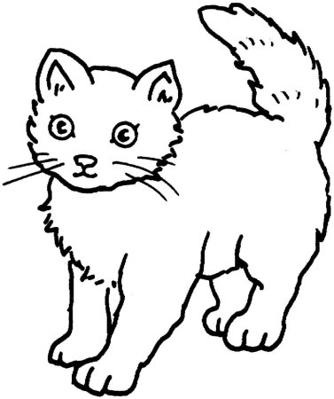Котики. Раскраска для малышей