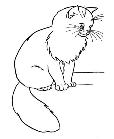 Кошка с котятами раскраска для детей