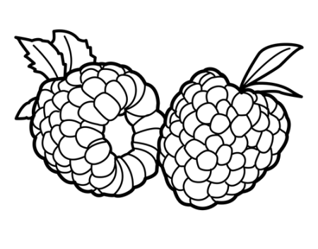 Малина раскраска для детей