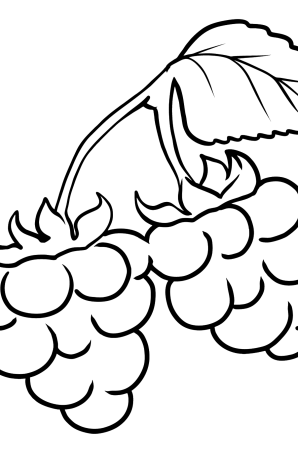 Малина раскраска для детей