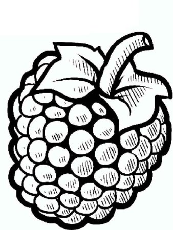 Ягоды раскраска для детей