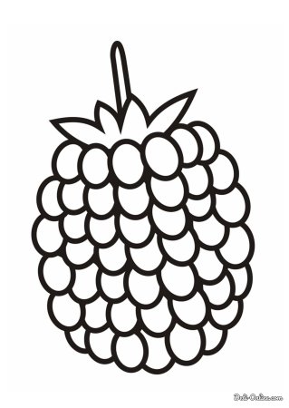 Лесные ягоды раскраска