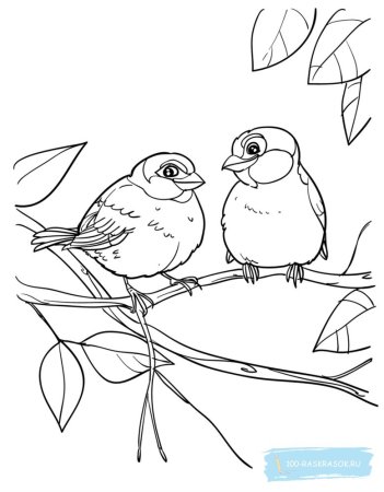 Птичка синичка раскраска