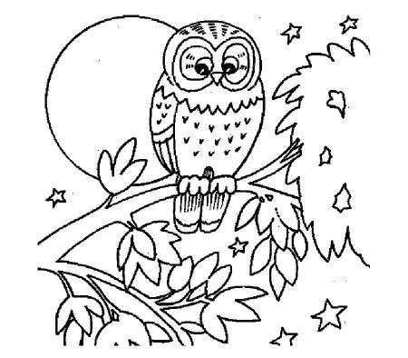Филин раскраска