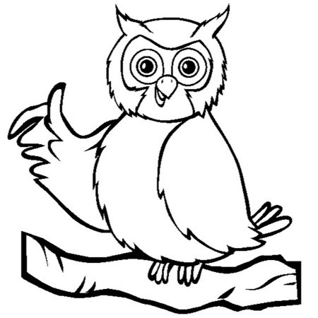 Филин раскраска