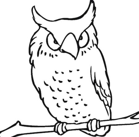 Умная Сова раскраска для детей