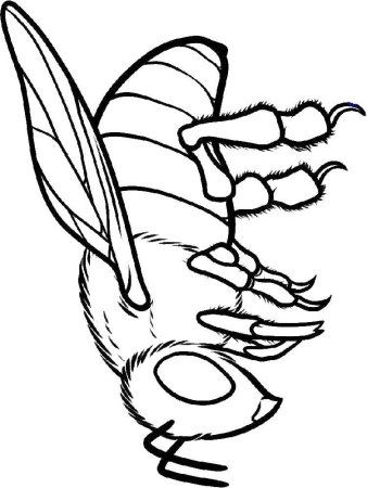 Оса раскраска для детей