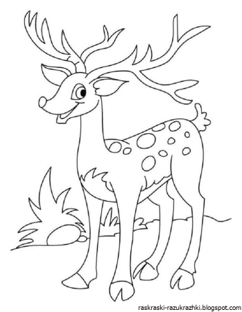 Олень рисунок раскраска