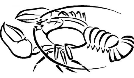 Рачок раскраска для малышей