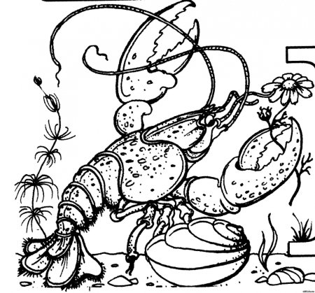 Знаки зодиака для выжигания