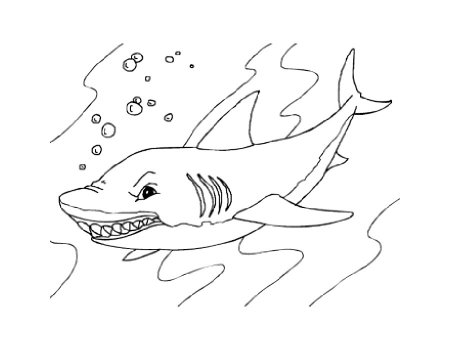 Акула толстой раскраска
