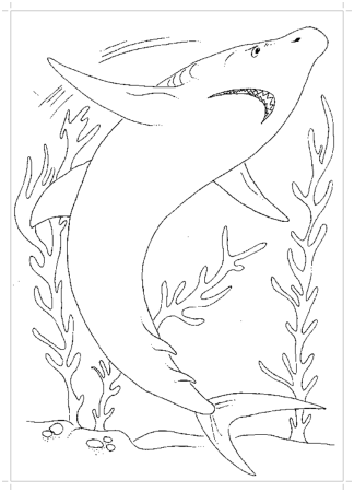 Акула толстой раскраска для детей