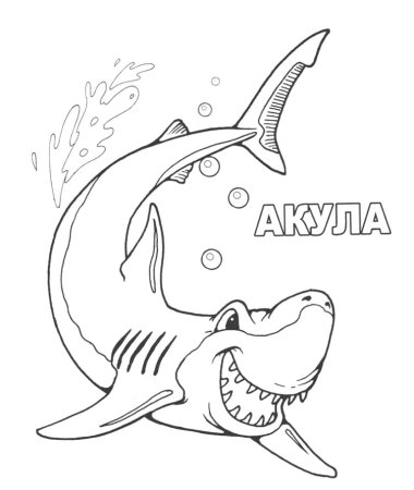 Акула толстой раскраска