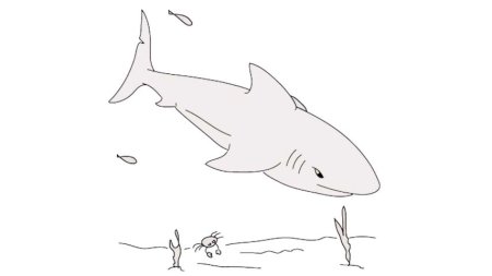 Раскраска акула и корабль
