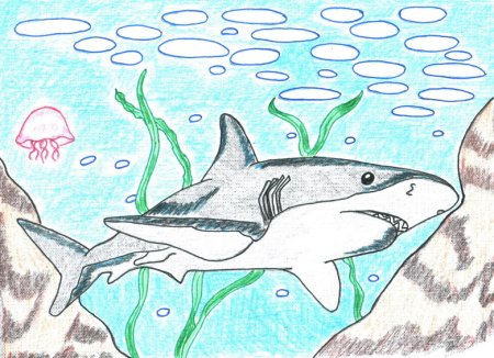 Акула раскраска для детей