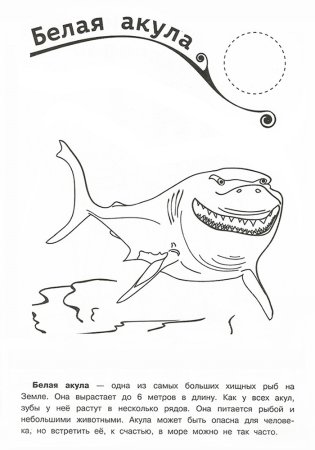 Л Н толстой акула раскраска