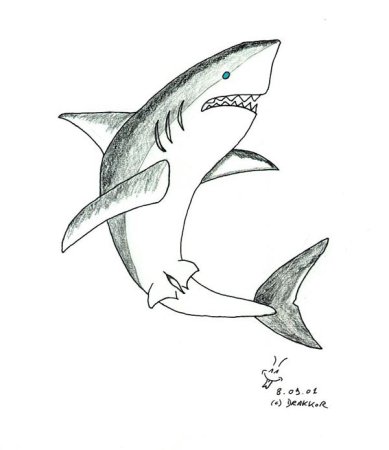 Рифовая акула раскраска