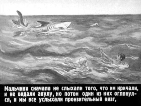 Акула толстой раскраска для детей