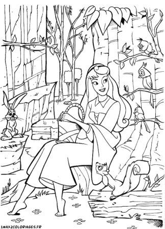 Шарль Перро спящая красавица Веретено