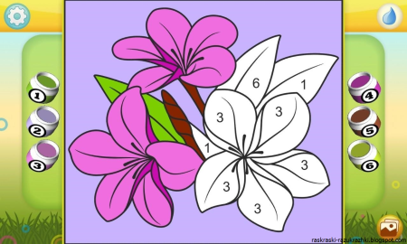 Раскраски. Игры