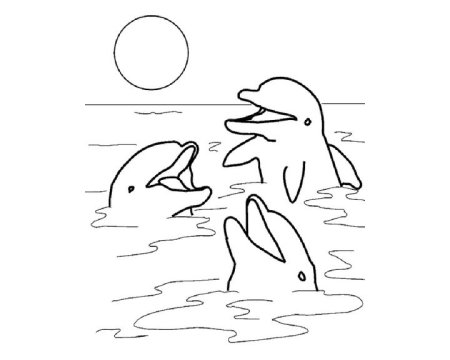 Красота моря раскраска