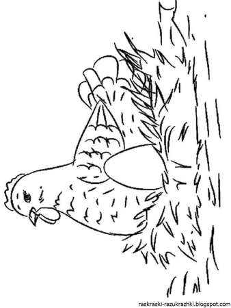 Иллюстрация к сказке Курочка Ряба раскраска