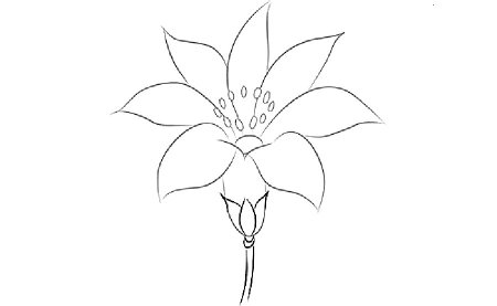 Семицветик раскраска