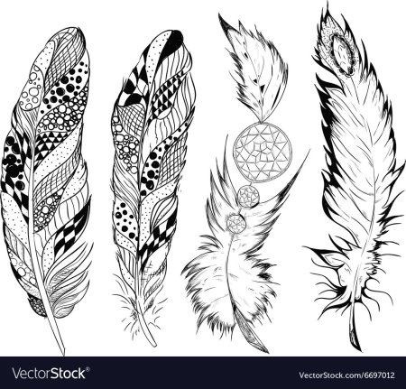 Перо раскраска