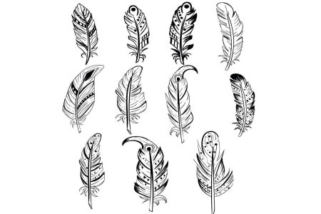 Перо Графика