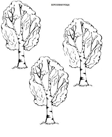 Ствол березы раскраска