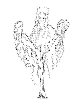 Раскраска березовый лес