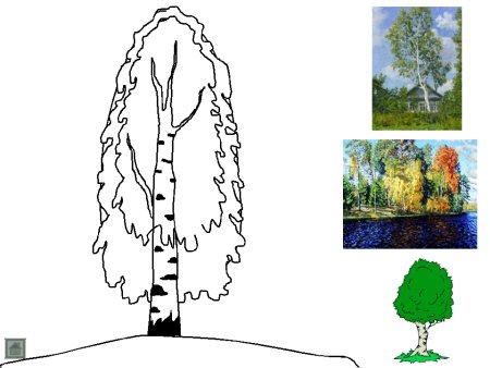 Березовая роща разукрашка
