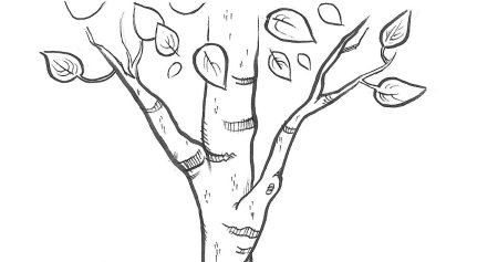 Береза раскраска для детей