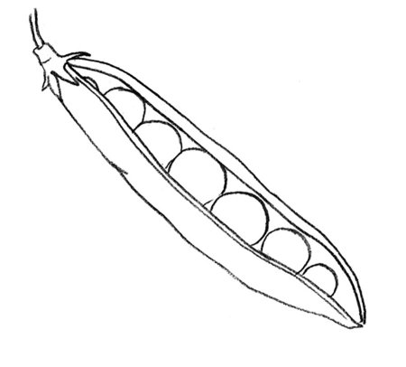 Раскраска стручок гороха без гороха