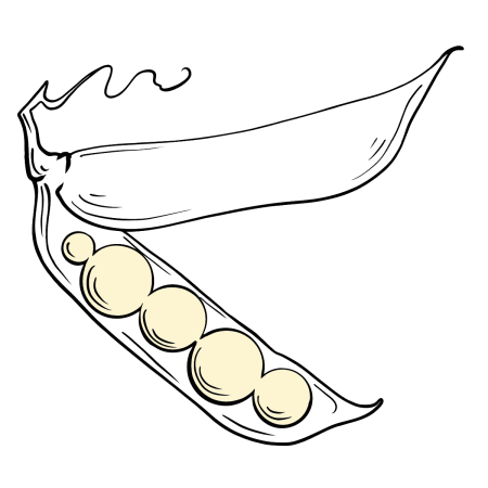 Зеленый горошек раскраска