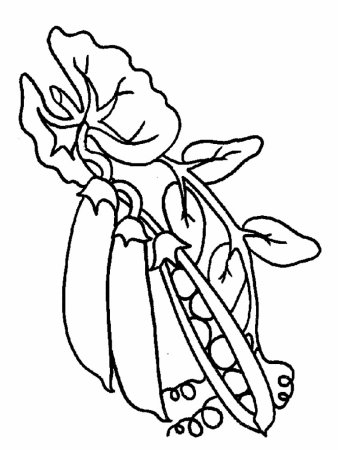 Горох раскраска для детей