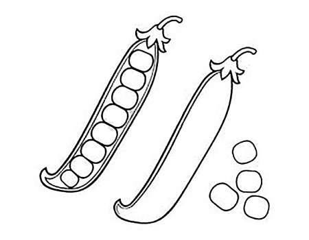 Горох раскраска