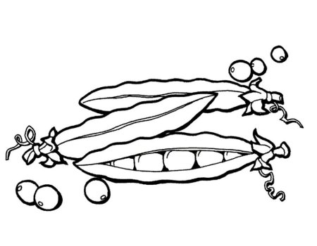 Горох раскраска