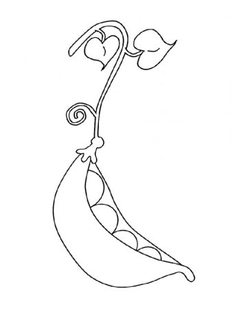 Горох раскраска для детей