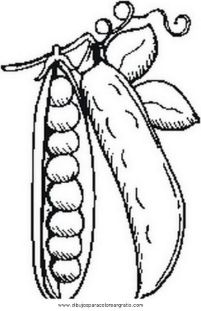 Стручок капусты раскраска