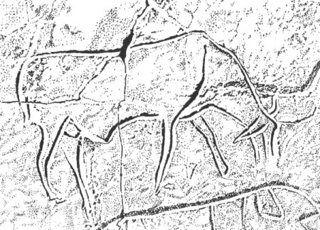 Наскальные рисунки Быков