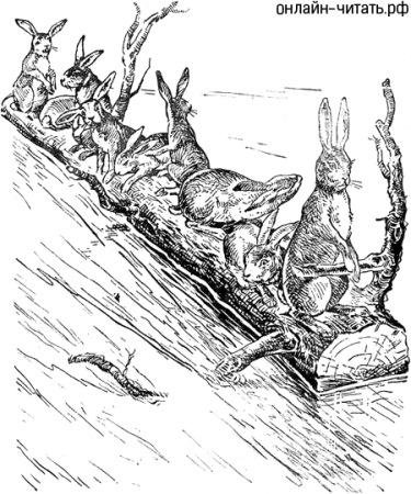 Некрасов Николай Алексеевич дед Мазай и зайцы