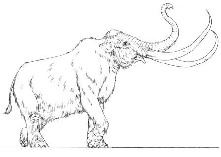 Раскраски про Мамонтов