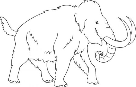 Мамонт раскраска для детей