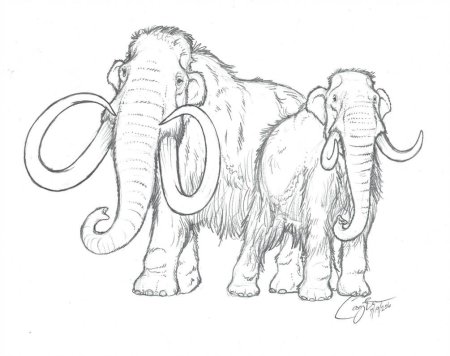 Раскраски про Мамонтов