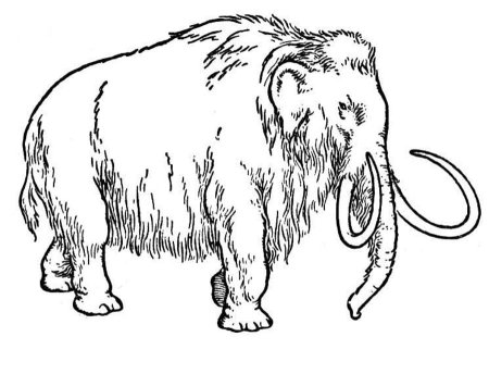 Раскраска древние животные