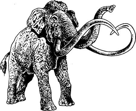 Раскраска животных мамонт