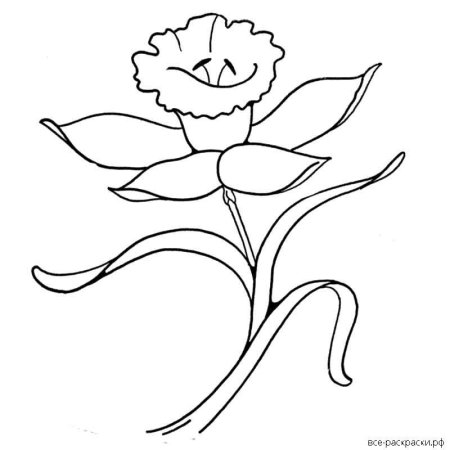 Аленький цветочек раскраска